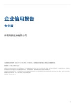 Company Credit Report - Professional
