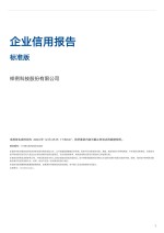 Company Credit Report - Standard