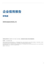 Company Credit Report - Finance & Tax