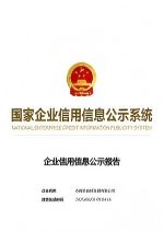 Official Business Registry Report
