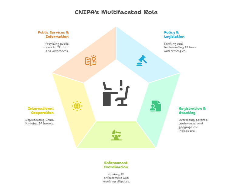 CNIPA's Multifaceted Role