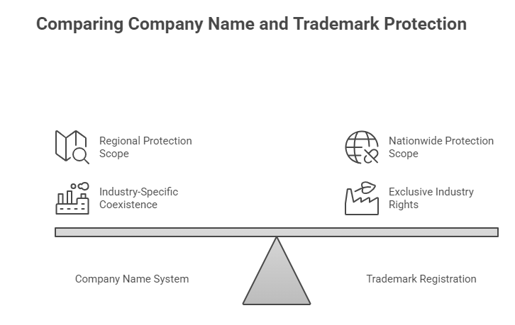 Comparing Company Name and Trademark Protection
