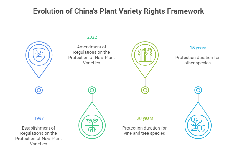 Evolution of China's Plant Variety Rights Framework