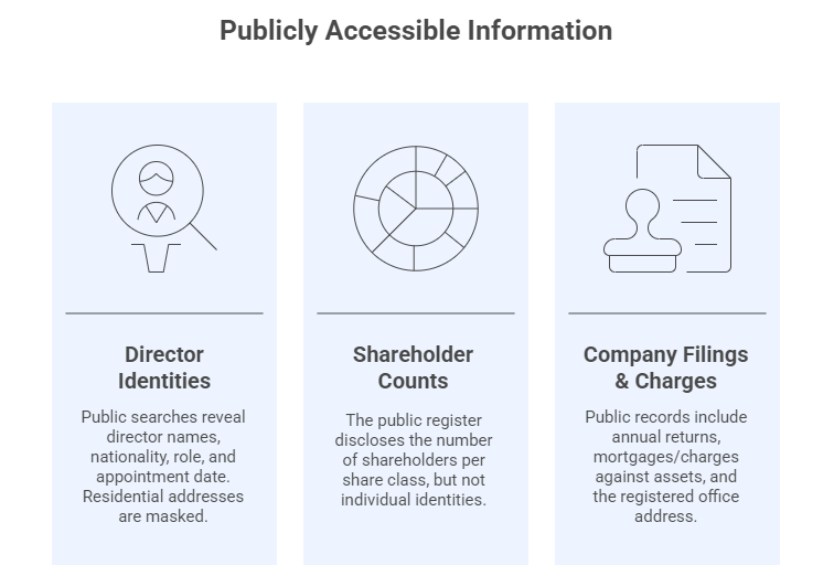 Publicly Accessible Information