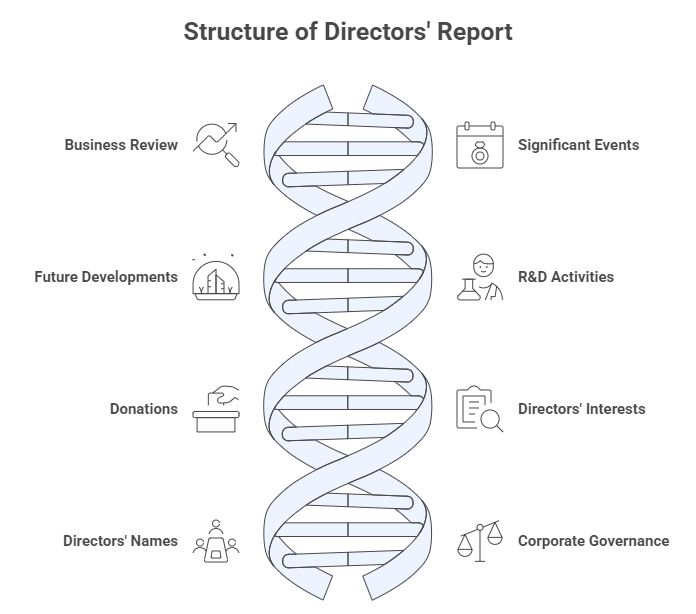 Structure of Directors' Report