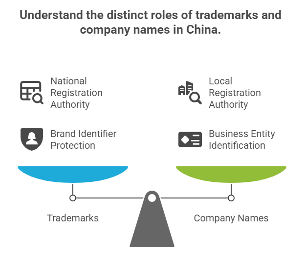 Understand the distinct roles of trademarks and company names in China.