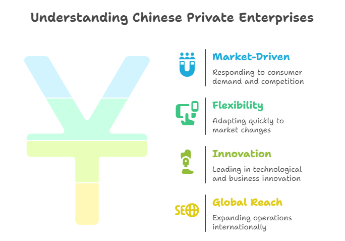 Understanding Chinese Private Enterprises